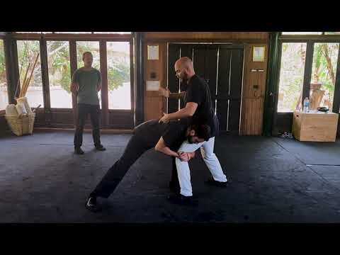 Sifu Adam Mizner shows how Taichi can STOP MMA style Takedowns