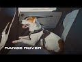 New Range Rover Evoque - A Dog's Dream New Range Rover Evoque - A Dog's Dream