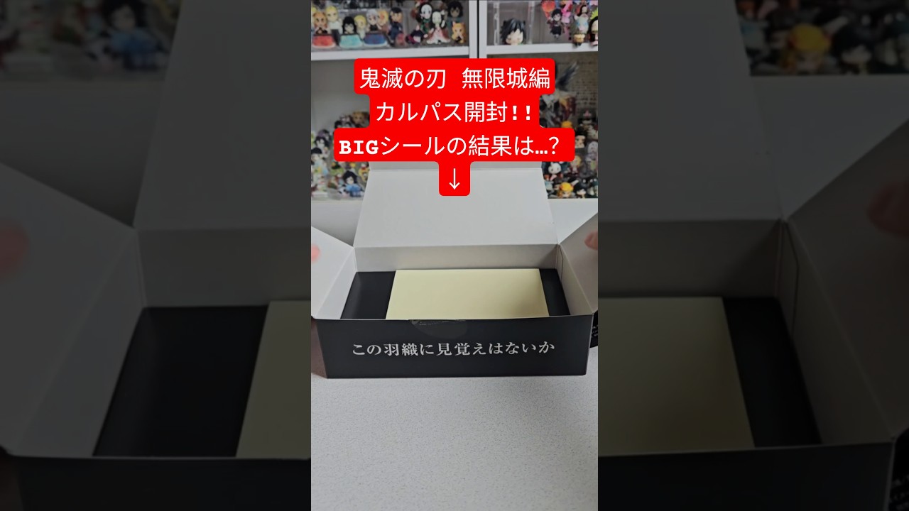 【鬼滅の刃 無限城編 カルパス開封その①】 #鬼滅の刃 #鬼滅の刃グッズ #demonslayer #kimetsunoyaiba #童磨#胡蝶しのぶ @otami1224