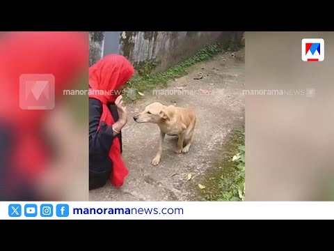നന്ദി പറഞ്ഞ് നായ; ജീവന്‍ രക്ഷിച്ച വീട്ടമ്മയെ തേടിയെത്തി തെരുവ്നായ | Wayanad