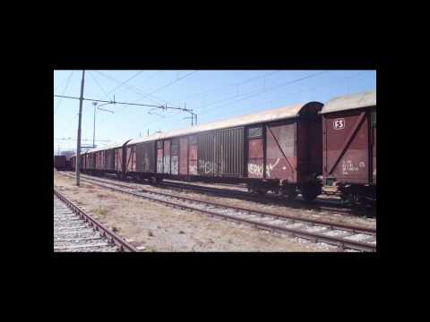 MRV 59XXX PALERMO BRANCACCIO - CITTADELLA.