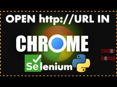 Python Selenium Webdriver Open Url