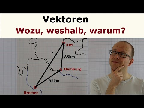 Vektoren - Wozu, weshalb, warum?