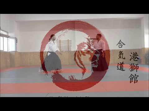 Ai hanmi Techniques Makis Potiris