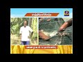 PON VILAIYUM BHOOMI SUCCESSFUL FARMER STORY 18 03 2020