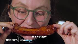 The Truth About Takeaways | BBC Earth | BBC Player