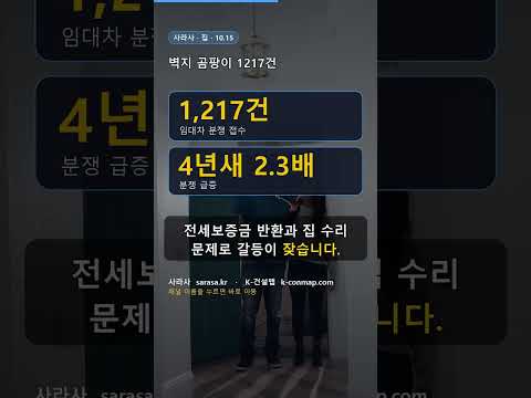 벽지 곰팡이 1217건 🦠