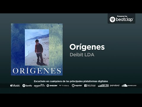 Deibit LDA - Orígenes
