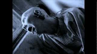 Sopor Aeternus-Les Fleurs Du Mal (instrumental)