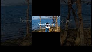 Download lagu Propaganda I'm falling for 🍂 mp3 Download lagu Propaganda I'm falling for 🍂 mp3