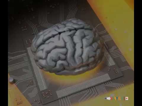 Qka demton trurin me se shumti