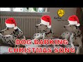 ✅ Dog Barking Compilation Video | Dog Barking Song Christmas Jingle Bells | Dog Songs 2019