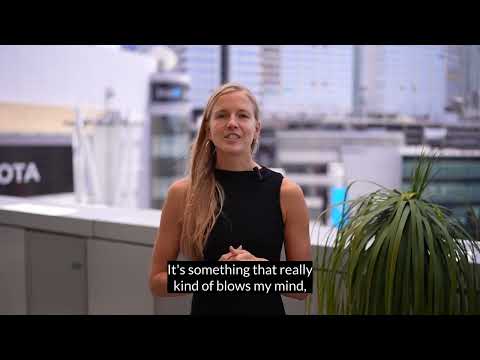 The Business Opportunity