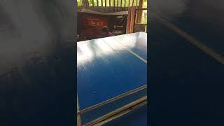 Download lagu PING pong an anak kecil jago#shorts mp3 Download lagu PING pong an anak kecil jago#shorts mp3