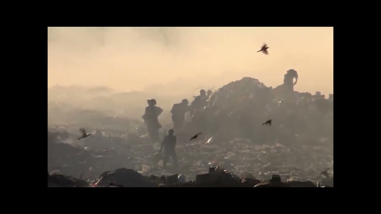 FITORREMEDIACIÓN DE SUELOS CONTAMINADOS POR PLOMO MEDIANTE USO DEL GIRASOL