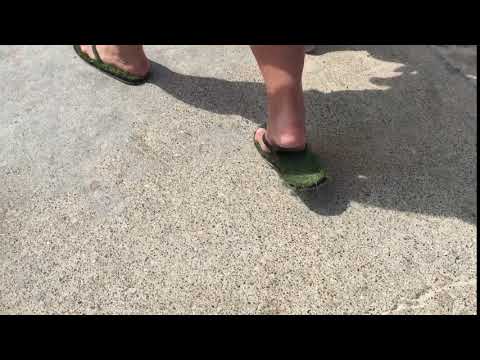 Don't Let the Grass Grow Under Your Feet...