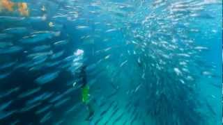 6 minute Tour version of  Why Divers prefer Palm Beach