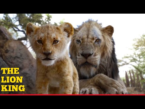 The Lion king 2019 ( Full movie) Explained in Hindi & Urdu || Simba Lion