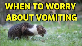 What Causes A Cat To Throw Up Undigested Food?