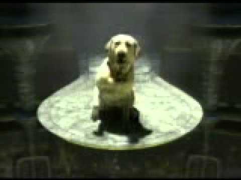 Funny Budweiser Commercial