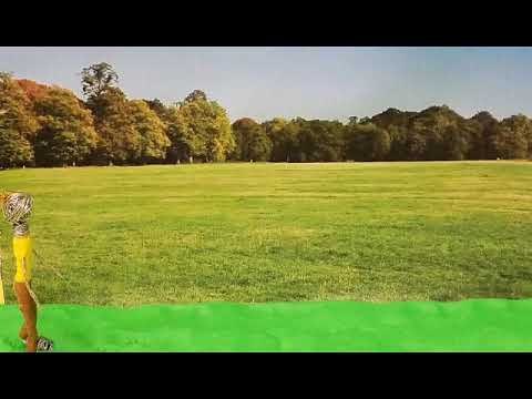 The Optimist-- Stop Motion Short Film