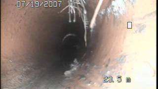 preview picture of video 'Vaporooter .This sewer is infested with tree roots vaprooter will stop these roots'