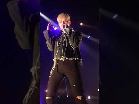 PLT WEGOHOLIC IN PARIS MOTI - BLUE