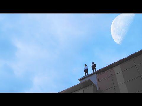 Alpha Zeleph - Frères Loups