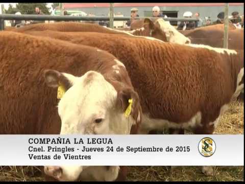 24-09-15 Venta de Vientres - Compañia La Legua - Coronel Pringles.