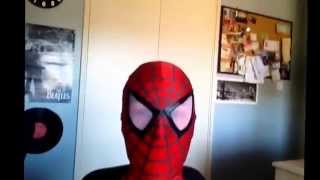 Spiderman plays Minecraft is.........