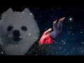 Shooting Stars Meme Compilation 1 WARNING DANK