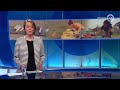 GLD Nieuws 8 juli 2017
