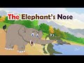 The Elephant S Nose Seashore Class 4