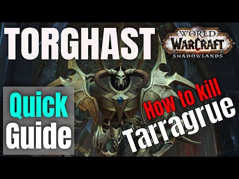 Torghast I TARRAGRUE töten I QUICK GUIDE #3 I WoW Shadowlands