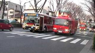 preview picture of video '青梅街道　緊急走行（火災通報）　東京消防庁  Ogikubo Fire Unit'