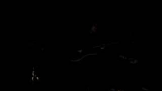 Predators in a maze - LostAlone (Acoustic)