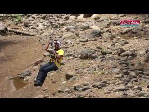 comment trouver oeil de sainte lucie