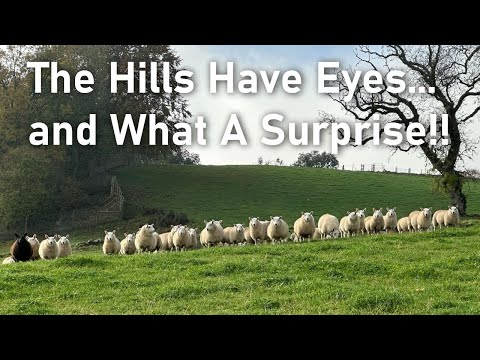 Dev Digs video thumbnail 2