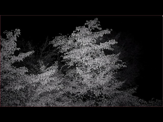 津山城（鶴山城）