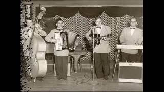 Bill Haley   Birth of the Boogie