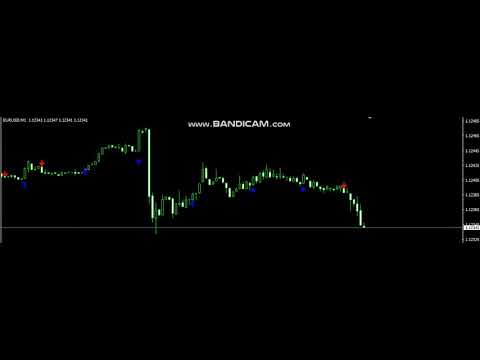 Video Professional Level