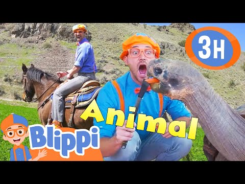Blippi's Best Animal Stories for Kids! 3 HOURS of Blippi!
