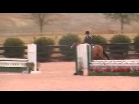 Captain America - SOLD