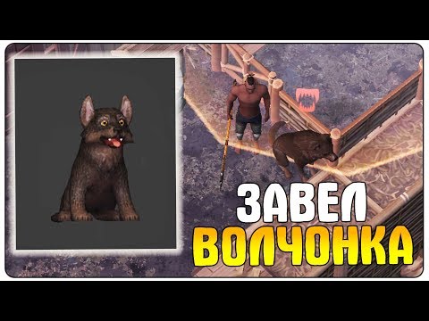 ПОСТРОИЛ ВОЛЬЕР ДЛЯ ЛЮТОВОЛКА! ГДЕ НАЙТИ ВОЛЧОНКА? - Grim Soul