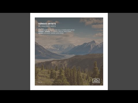 Le Carnival (Analog Jungs Remix)