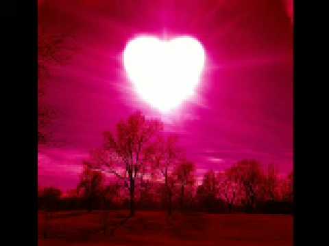 Divlji Kesten - Suze krijem, same teku