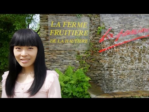 Ferme fruitière de la Hautière [Portes ouvertes] Visite des tunnels & haul : fraises et légumes bio Video