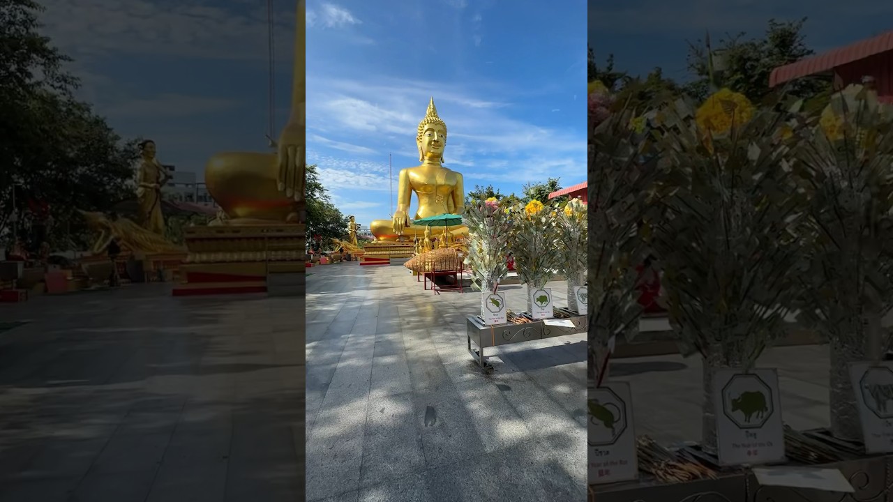 YouTube Short thumbnail