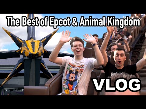 Crash Course Epcot & Animal Kingdom: Hitting All the Best Rides in One Day | Disney World Vlog