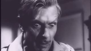 Manhandled Lewis R  Foster, 1949   Trailer